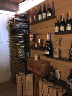 13680982_10209449692106422_5719999739167252828_n