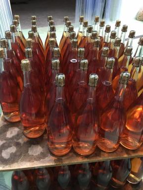 13782114_10209449693266451_4326056847582145220_n