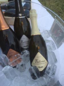 13902676_10153605338775997_5162447252794935605_n