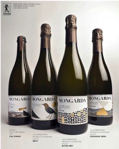 17834959_1407334939323686_5439726796624552052_o