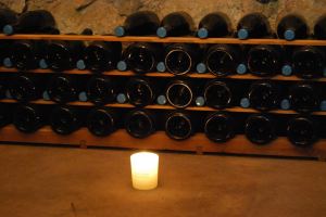 10322741_733942386647891_1810556813865396035_n