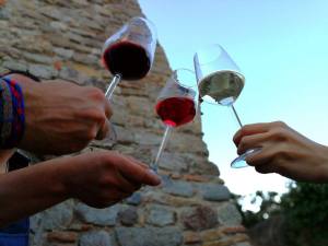 20157387_1360714570691582_1588711774722384411_o