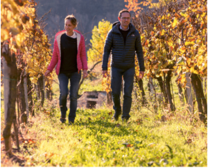 Schermata 2017-08-14 alle 09.47.40