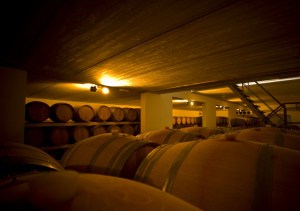 Cantina_edit-1024x722