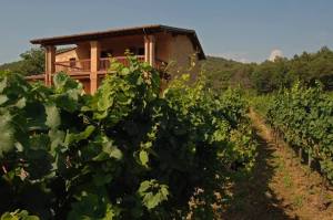 533683_402363646538718_1014204786_n