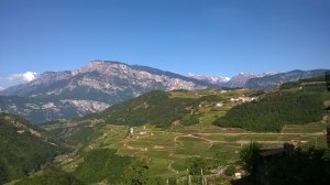 11227793_751353784981045_8300766404848584999_o