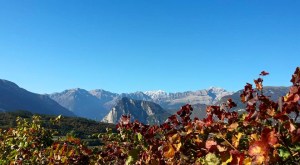 12249737_1695072494044621_595419526586996995_n