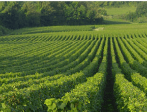 Schermata 2018-02-05 alle 15.54.27