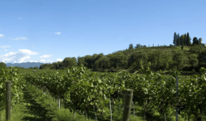 Schermata 2018-02-26 alle 16.56.51