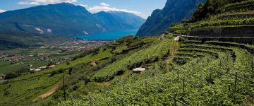 7AB5D45B18954FE29A39007EF7A26068-testata