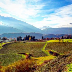 15230546_1147943868635588_1605829023424320566_n