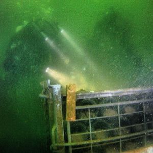 19274735_1363893863707253_1744769134381105951_n