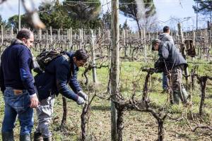 28795229_1470959823030690_2983712226336638855_n