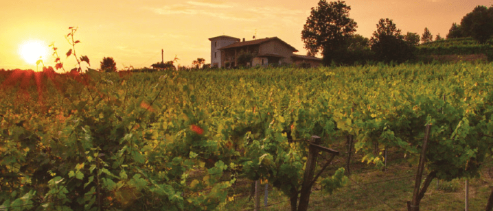 Schermata 2019-02-11 alle 22.01.26.png