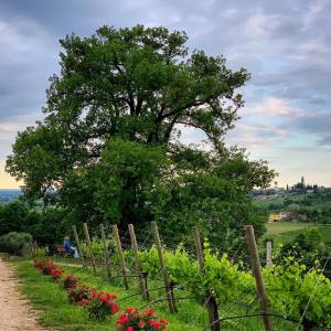 60340723_3152455891434971_3751595057644306432_o