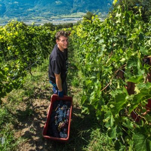 70373068_2405099802920384_8023530488440291328_n